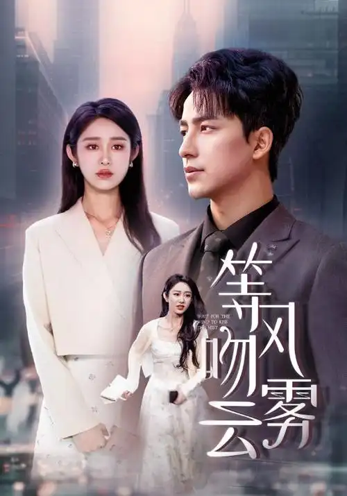 雾港回声 缩略图